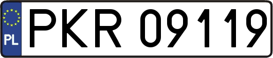 PKR09119