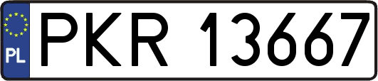 PKR13667