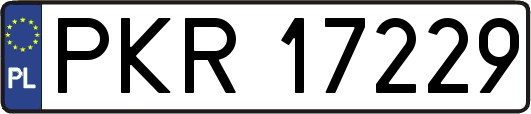 PKR17229