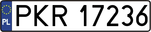 PKR17236