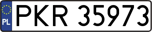 PKR35973