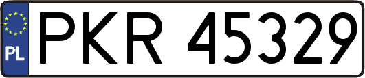 PKR45329