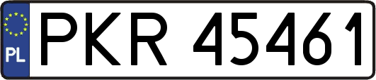 PKR45461