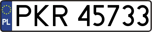 PKR45733