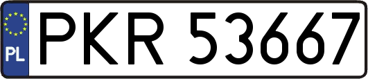 PKR53667