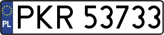 PKR53733
