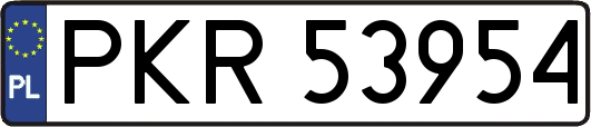 PKR53954