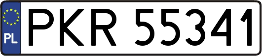 PKR55341