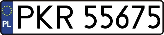 PKR55675