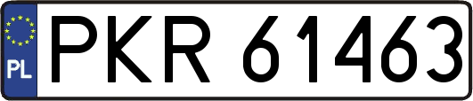 PKR61463