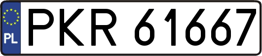 PKR61667