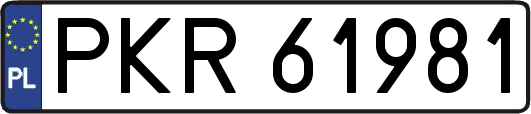 PKR61981