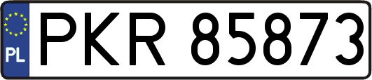 PKR85873