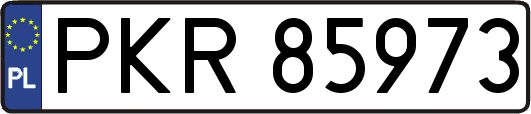 PKR85973