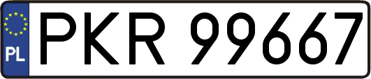 PKR99667