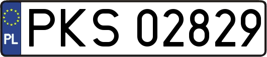 PKS02829