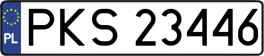 PKS23446
