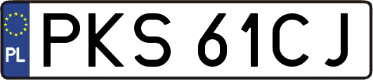 PKS61CJ