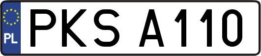 PKSA110