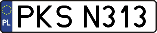 PKSN313