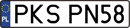 PKSPN58