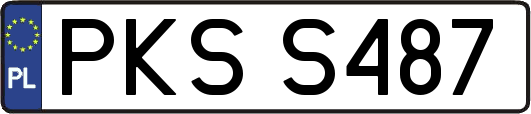 PKSS487