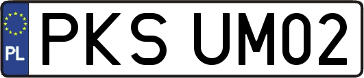 PKSUM02