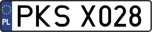 PKSX028