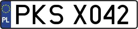 PKSX042