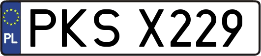 PKSX229