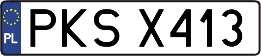 PKSX413
