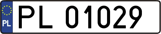 PL01029