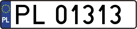 PL01313