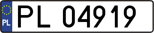 PL04919