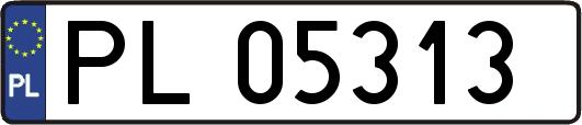PL05313