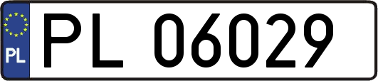 PL06029