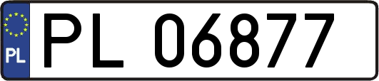 PL06877