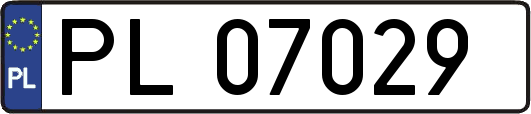 PL07029