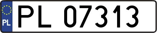 PL07313
