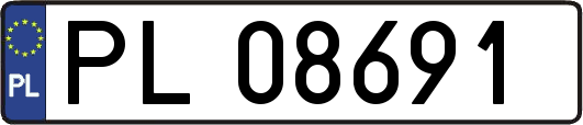 PL08691