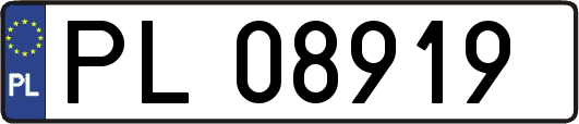 PL08919