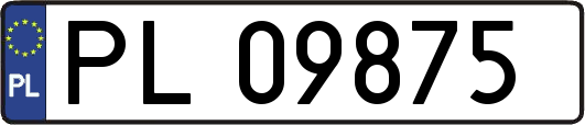 PL09875