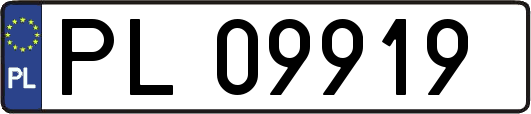 PL09919