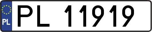 PL11919