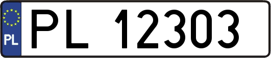 PL12303