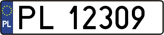 PL12309