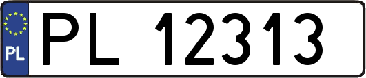 PL12313