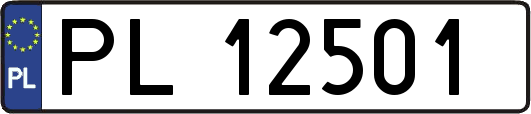 PL12501