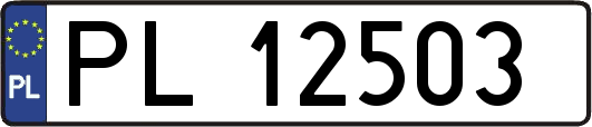 PL12503