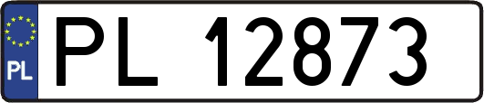 PL12873